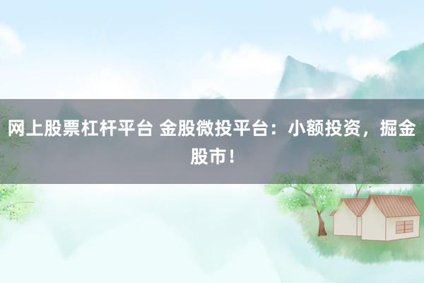 网上股票杠杆平台 金股微投平台：小额投资，掘金股市！