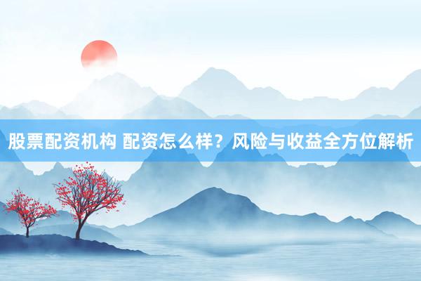 股票配资机构 配资怎么样？风险与收益全方位解析