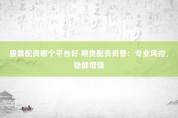 股票配资哪个平台好 期货配资资管:专业风控,稳健增值