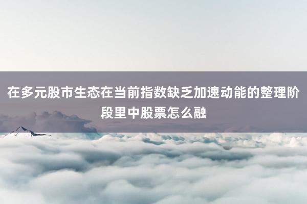 在多元股市生态在当前指数缺乏加速动能的整理阶段里中股票怎么融