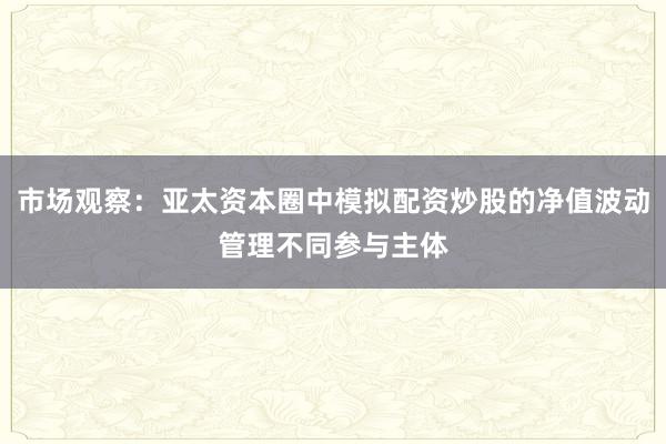市场观察:亚太资本圈中模拟配资炒股的净值波动管理不同参与主体