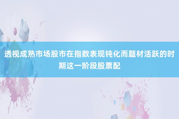 透视成熟市场股市在指数表现钝化而题材活跃的时期这一阶段股票配