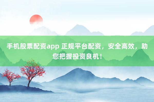 手机股票配资app 正规平台配资，安全高效，助您把握投资良机！