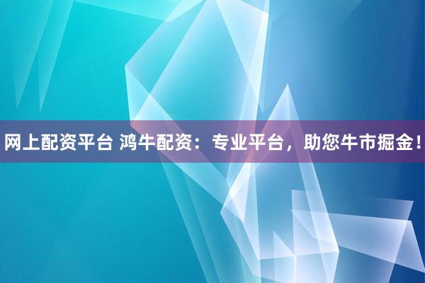 网上配资平台 鸿牛配资：专业平台，助您牛市掘金！