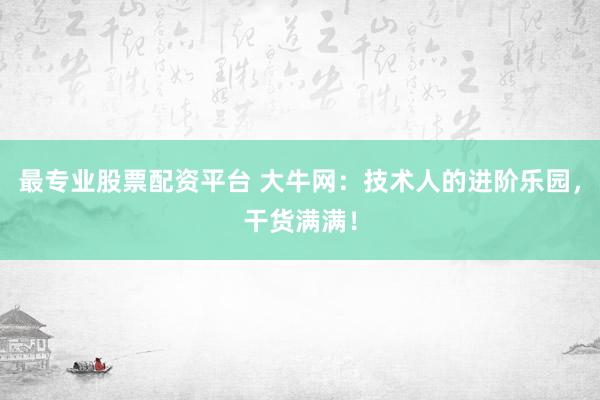 最专业股票配资平台 大牛网：技术人的进阶乐园，干货满满！